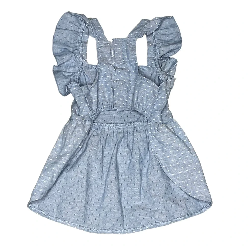 Female Dog Clothes M Blue Ruffle Dress NWT Sweet Heart Graphic T Shirt NWOT